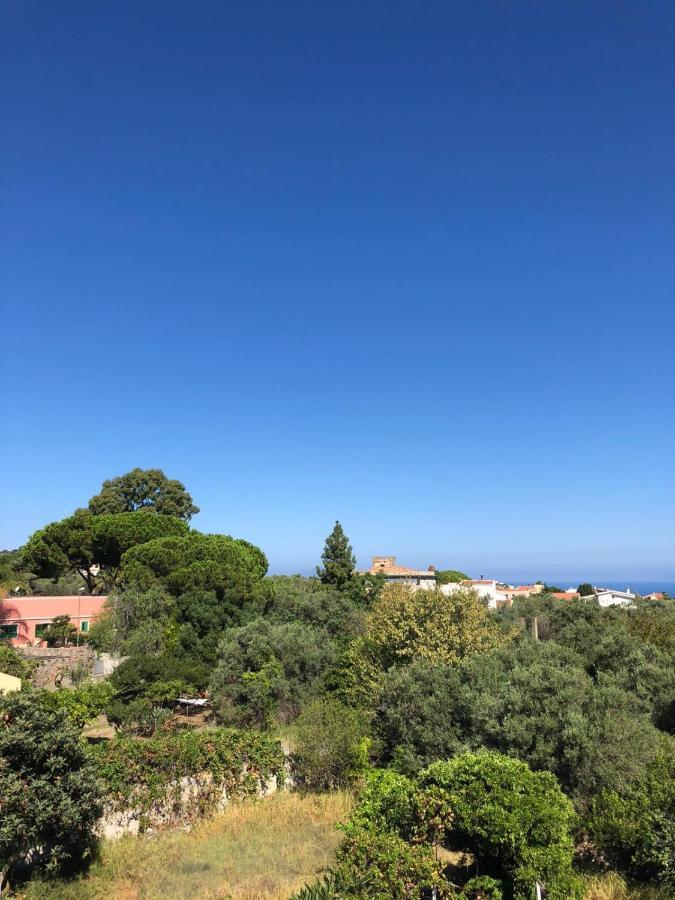 Capo Milazzo Summer Holiday Apartament エクステリア 写真